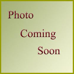 Arnica Rub - Autumn's  Eve