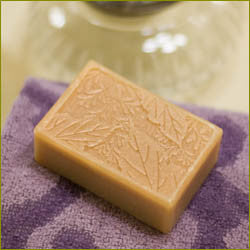 Holy Basil Complexion Soap - Autumn's  Eve