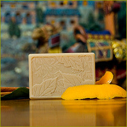 Moroccan Spice Soap - Autumn's  Eve