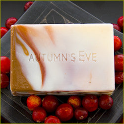 Cranberry Fig Soap - Autumn's  Eve
