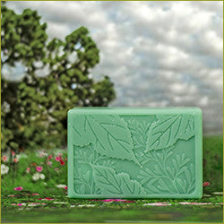 Juniper Breeze Soap - Autumn's  Eve